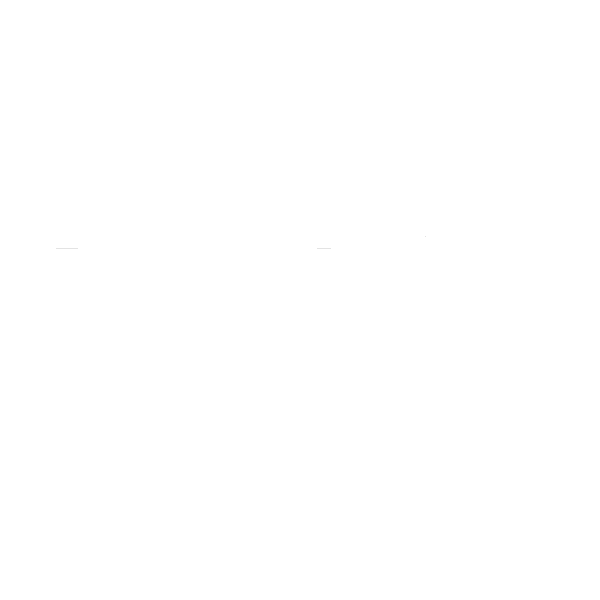 ZVEZDA